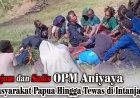 Kejam dan Sadis: Warga Papua Tewas Dianiaya OPM di Intan Jaya, Tokoh Adat Bersatu Mengecam