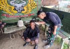 Potong Rambut Gratis Satgas 400/Banteng Raiders di Yigi, Simbol Kedekatan TNI dan Rakyat Papua