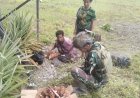 Cinta dari Laut untuk Pegunungan: Marinir Yonif 1 Hidupkan Semangat Petani Papua Lewat Program ROSITA