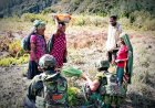 Satgas Yonif 113/JS Borong Hasil Tani, Angkat Ekonomi Mama-Mama Papua