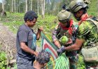 Satgas Yonif 732/Banau Dongkrak Ekonomi Petani Perbatasan Papua Lewat "Rosita"