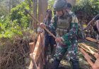 TNI Bangun Honai Bersama Warga Papua: Gotong Royong Tanpa Diminta