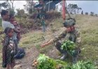 Prajurit Yonif 500/Sikatan Ubah Jalan Trans Papua Jadi Pasar Harapan