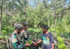 Satgas Yonif 732/Banau Dongkrak Ekonomi Warga Perbatasan Lewat "Rosita"
