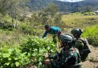 Harmoni Goa Balim: TNI dan Warga Gotong Royong Panen Bersama