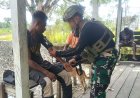 Satgas Marinir Hadirkan Harapan Kesehatan di Pedalaman Yahukimo