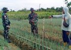Dongkrak Produktivitas Petani Daun Bawang, Babinsa Berikan Pendampingan