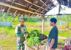 Borong Hasil Kebun Warga Keikey, Satgas Yonif 5 Marinir Hadirkan Kepedulian Nyata di Pedalaman Yahukimo