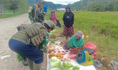 Marinir TNI AL Gerakkan Ekonomi Petani Papua Tengah Lewat Borong Hasil Tani