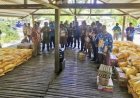 Banjir di Kemtuk Gresi, Babinsa Dampingi Bupati Jayapura Tinjau Warga Terdampak